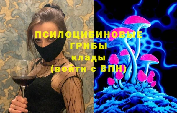 спиды Снежногорск