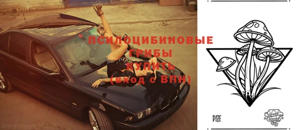 стаф Армянск