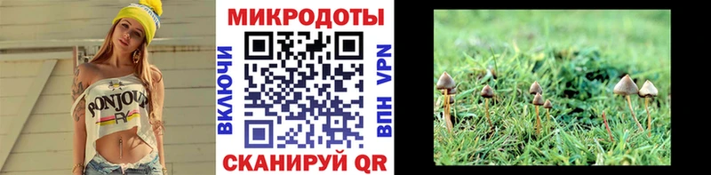 ссылка на мегу онион  Калязин  Псилоцибиновые грибы прущие грибы  где можно купить наркотик 